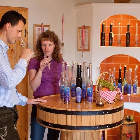 In St Stefan Im Rosental Apartment Gigging